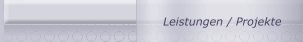 Leistungen / Projekte