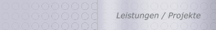 Leistungen / Projekte